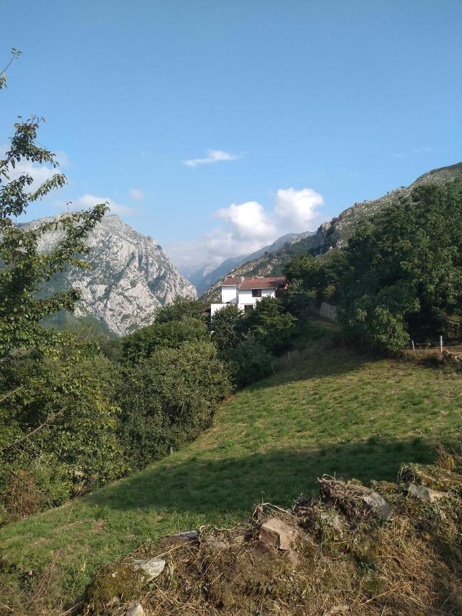 Vis 101 Bed and Breakfast Vista  Εξωτερικό φωτογραφία
